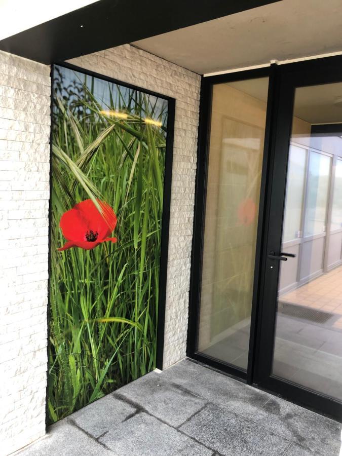Klaproos - Modern Appartement Op Zeedijk ニーウポールト エクステリア 写真